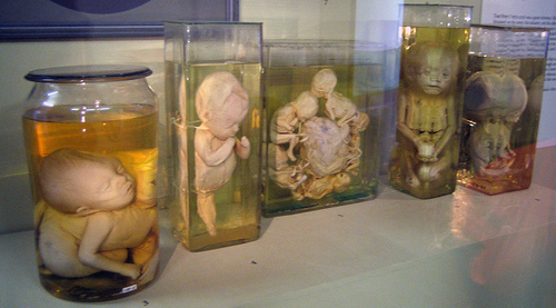 Museo-de-Historia-de-la-Medicina-Myuttera