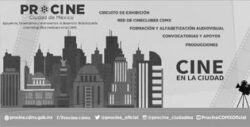 Procine